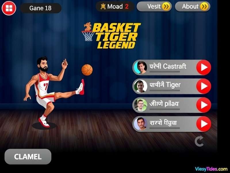 Basket Tiger Legend Game Modes